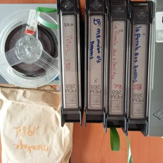 Pépites d'archives n°2 - Forêts en Trièves